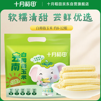 十月稻田 白拇指玉米 1斤(8~12根) 手指小玉米