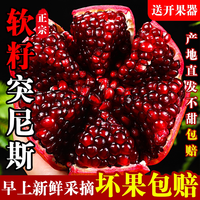 品兹卉 四川会理突尼斯软籽石榴新鲜水果应季10当季斤整箱非无籽石榴包邮