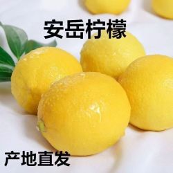 黄柠檬四川安岳柠檬新鲜柠檬鲜果薄皮柠檬批发奶茶店整箱 黄柠檬20个单果50-80g单个独立装