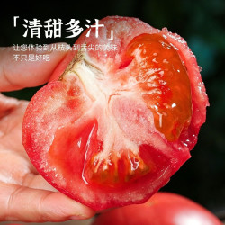 京鲜生 东北老味沙瓤西红柿 3斤 生鲜蔬菜