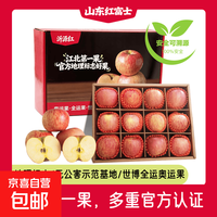 山东红富士苹果 脆甜多汁 酥脆诱人 带箱10斤（中果75mm+  净重8.5斤）
