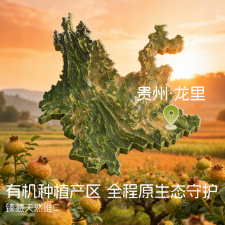 恒力源 有机刺梨凝粹黄金液 100%刺梨原汁 50ml*10瓶
