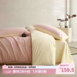 AIDLI 60支全棉磨毛加厚保暖新疆长绒棉四件套 200*230cm