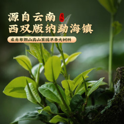 虎标茶 普洱生茶散茶 210g 罐装