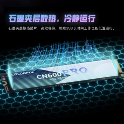 七彩虹 CN600Pro系列 M.2 SSD台式机NVME协议电脑游戏高速固态硬盘