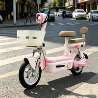 台铃 小香果大果粒 48V20Ah铅酸电池 智能电动车