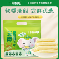 PLUS会员：十月稻田 白拇指玉米 1斤(8~12根) 手指小玉米