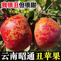 冰糖心苹果 5斤净重4.5斤
