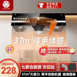 櫻花樹 油烟机家用大吸力中式抽油烟机出租房厨房小户型小尺寸老式吸油烟机 37m³