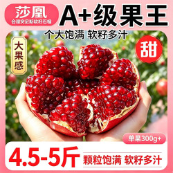 莎凰 会理突尼斯软籽石榴 净重4.5斤