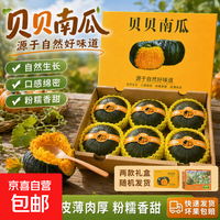 正宗贝贝南瓜现摘现发口感软糯口味香甜宝宝辅食整箱 礼盒装贝贝南瓜 3斤