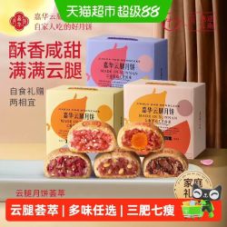 嘉华食品 嘉华云南特产传统云腿月饼宣威火腿入馅酥皮咸香中秋送礼盒零食10枚
