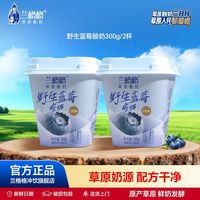 兰格格 低温酸奶榴莲味草莓味酸奶早餐奶昔180g