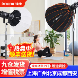 神牛 SL200W三代补光灯LED摄影灯影棚视频打光录像常亮灯网红直播间美颜柔光 两灯套装