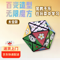 涂涂鱼 熊猫魔方3D立体几何魔方玩具-太空款