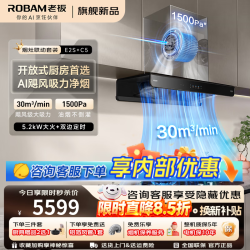 老板 E2顶配款油烟机 30风量1500Pa大静压 ROKi远程智联 超薄AI智控大吸力
