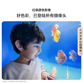华为 Mate X6 典藏版 12GB+256GB 星云白 折叠屏手机