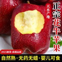 庾丰 甘肃花牛苹果 新鲜水果整箱 孕妇 宝宝辅食 团购送礼 平果 净果4.5斤 优选果