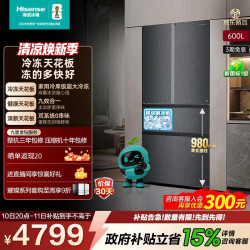 海信 璀璨大力神 大冻梨 超薄零嵌入冰箱 600L TR-600E7SFZKD 法式灰
