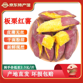 金百粟 陕西临潼沙地板栗红薯 糖心香薯蜜薯自然熟地瓜番薯果蔬菜生鲜 净重4.5-5斤