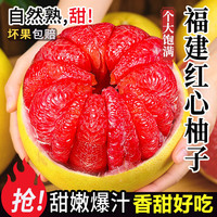粤迎 福建红心柚子蜜柚新鲜水果柚子中秋送礼品盒 9斤精选果净8.1-9斤