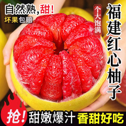 粤迎 福建红心柚子蜜柚新鲜水果柚子中秋送礼品盒 9斤精选果净8.1-9斤
