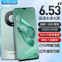 VIIPOO 202101 5G全网通 雅青色 10GB+256GB 智能手机