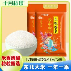 十月稻田 长粒香米5kg*2袋真空米中玉系列新鲜20斤