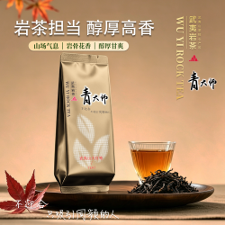qingdashi 武夷山岩茶大红袍茶叶一级乌龙茶单泡自饮8.3g
