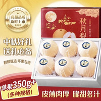 鲁禧 山东冰糖脆甜秋月梨5斤礼盒装 净重4.5斤单果350g+