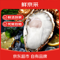 鲜京采 生蚝5斤 4XL 10-13只装 源头直发 露营烧烤