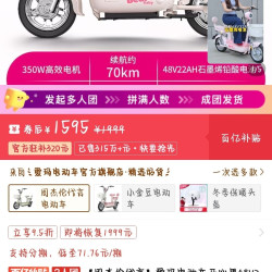 爱玛 电动车开心果48V22AH电动自行车电瓶车新国标
