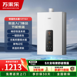 万家乐 13升无极微焰直流变频风机智能变升电辅防冻天然气燃气热水器