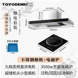TOYODENKI 日本東洋）小尺寸抽油烟机超薄矮款矮机头T型变频