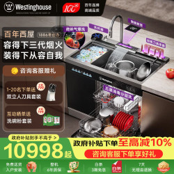 西屋电气 西屋集成水槽洗碗机气爆洗超声波果蔬清洗家用双层嵌入式碗柜14套洗碗机一体机 JCX-E8LMAX-1