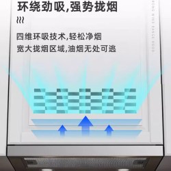 TOYODENKI 日本東洋）公寓抽拉式抽油烟机小尺寸矮机身小型