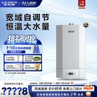 A.O.SMITH 燃气壁挂炉L1PB-V3 家用采暖热水两用天然气壁挂炉 恒温大水量锅炉 33KW