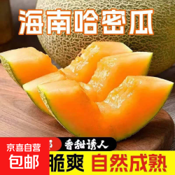 哈密瓜  脆甜多汁软糯香甜蜜西州密瓜 新鲜采摘应季生鲜水果 海南哈密瓜带箱5-6斤（2-3个）