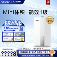 A.O.SMITH 燃气壁挂炉LL1GBQ24-D10M 家用采暖热水两用天然气壁挂炉 1级能效24kw