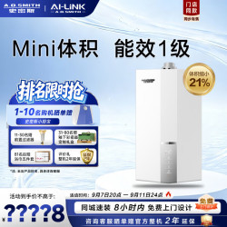 A.O.SMITH 燃气壁挂炉LL1GBQ24-D10M 家用采暖热水两用天然气壁挂炉 1级能效24kw