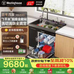 西屋电气 西屋集成水槽洗碗机超声波果蔬清洗家用双层上下分层洗嵌入式碗柜14套洗碗机一体机 JCX-S9L 旗舰