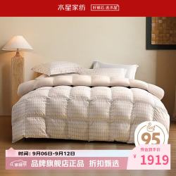 水星家纺 鹅绒被A类95%白鹅绒四季被芯锁温春秋羽绒被子 吉光飞羽抗菌白鹅绒四季被200×230cm
