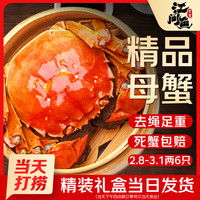 江问鱼 大闸蟹全母2.8两-3.1两 6只装 中秋礼盒