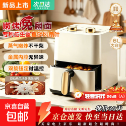 空气炸锅家用蒸烤一体蒸气嫩烤家用微波炉大容量电烤箱可视化电炸锅2026年新款  6L 烤