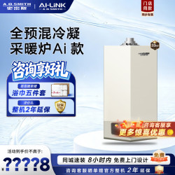 A.O.SMITH 燃气壁挂炉LL1GBQ-E11 家用采暖热水天然气壁挂炉 零
