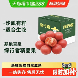 绿行者 粉番茄沙瓤多籽皮薄肉厚果香浓郁自然成熟生吃凉拌小番茄 1500g