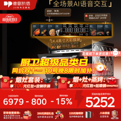 德普 凯信（Depelec）2026年德普TD55X AI无缝内胆蒸