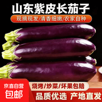 京喜 东北特产农家自种紫茄子长茄子现摘现发新鲜蔬菜紫把茄子紫裤茄子 带箱 1斤