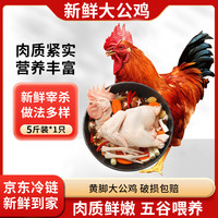 岽鲜 黄脚大公鸡 净重5斤 新鲜冷冻土鸡走地鸡整鸡鸡肉生鲜 源头直发