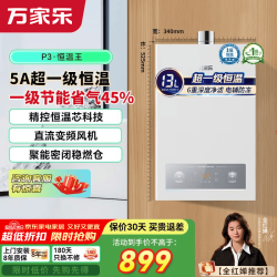 万家乐 燃气热水器家用 直流变频风机智能精控一级恒温一级节能省气电辅防冻 13L 超一级恒温